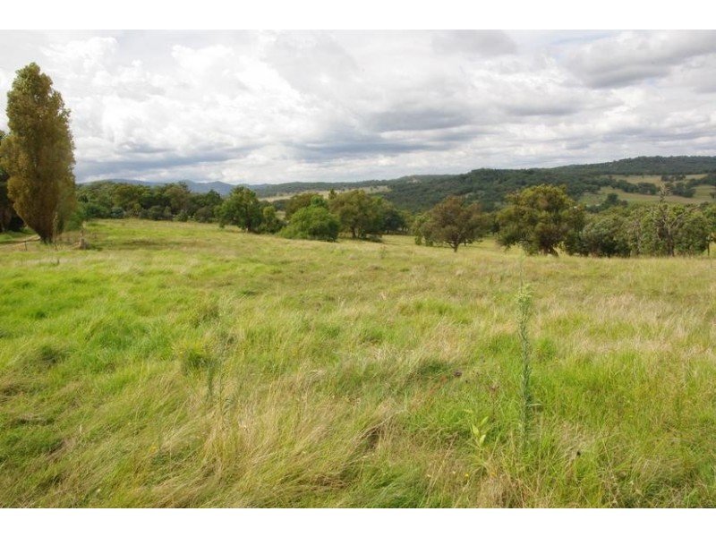 Yangarra, Yangarra Road, Moonbi NSW 2353