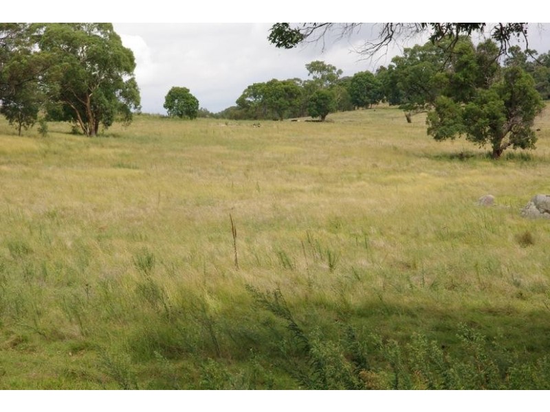 Yangarra, Yangarra Road, Moonbi NSW 2353