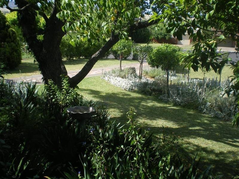 4 Little Street, Scone NSW 2337