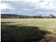 3162 New England Highway, Scone NSW 2337