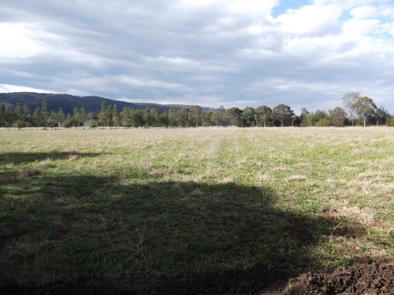 3162 New England Highway, Scone NSW 2337
