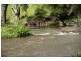 Blairwood, 250 Blairmore Lane, Aberdeen NSW 2336