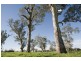 Blairwood, 250 Blairmore Lane, Aberdeen NSW 2336