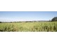 Blairwood, 250 Blairmore Lane, Aberdeen NSW 2336