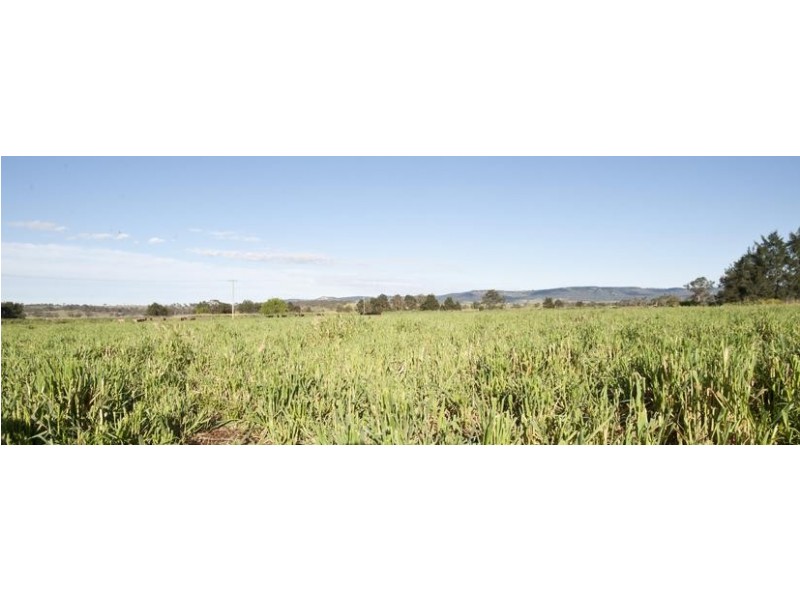 Blairwood, 250 Blairmore Lane, Aberdeen NSW 2336