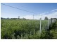 Blairwood, 250 Blairmore Lane, Aberdeen NSW 2336