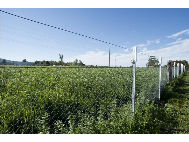 Blairwood, 250 Blairmore Lane, Aberdeen NSW 2336