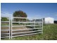 Blairwood, 250 Blairmore Lane, Aberdeen NSW 2336