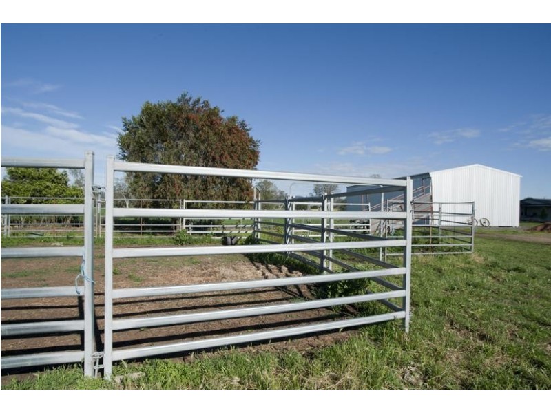 Blairwood, 250 Blairmore Lane, Aberdeen NSW 2336