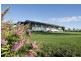 Blairwood, 250 Blairmore Lane, Aberdeen NSW 2336