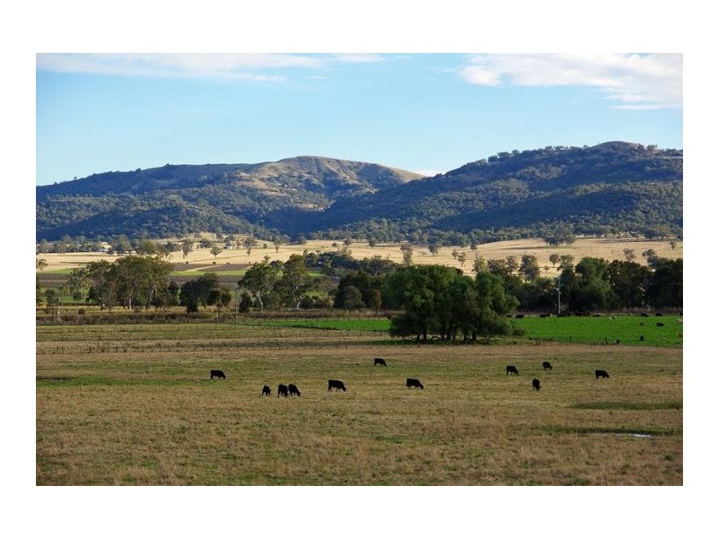 101 Bunnan Road, Scone NSW 2337