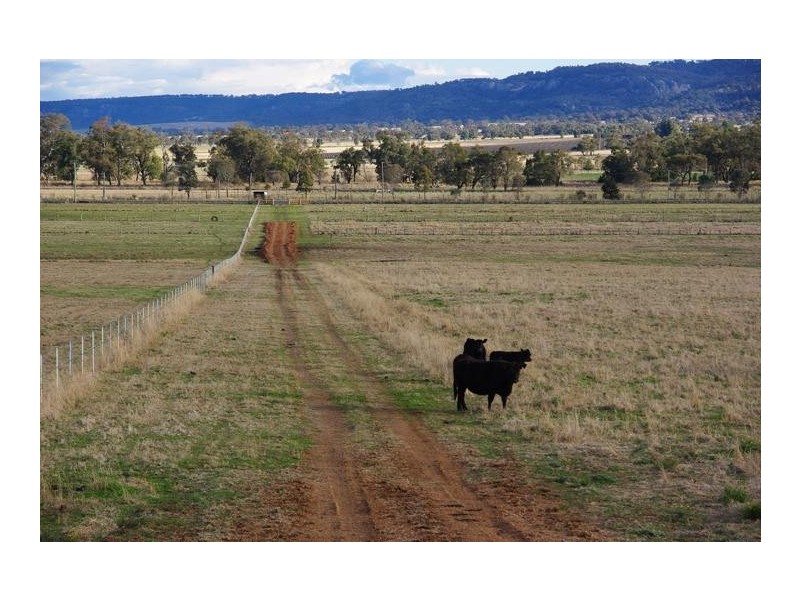 101 Bunnan Road, Scone NSW 2337