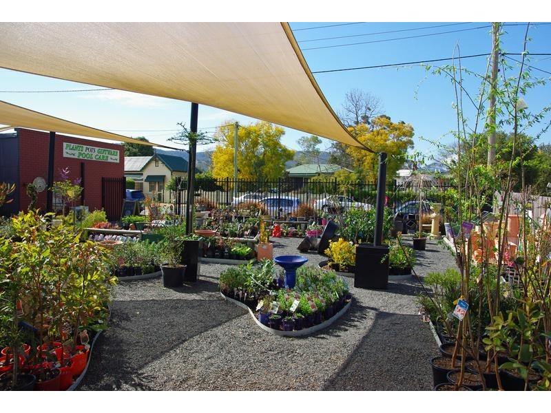 51 Main Street, Scone NSW 2337
