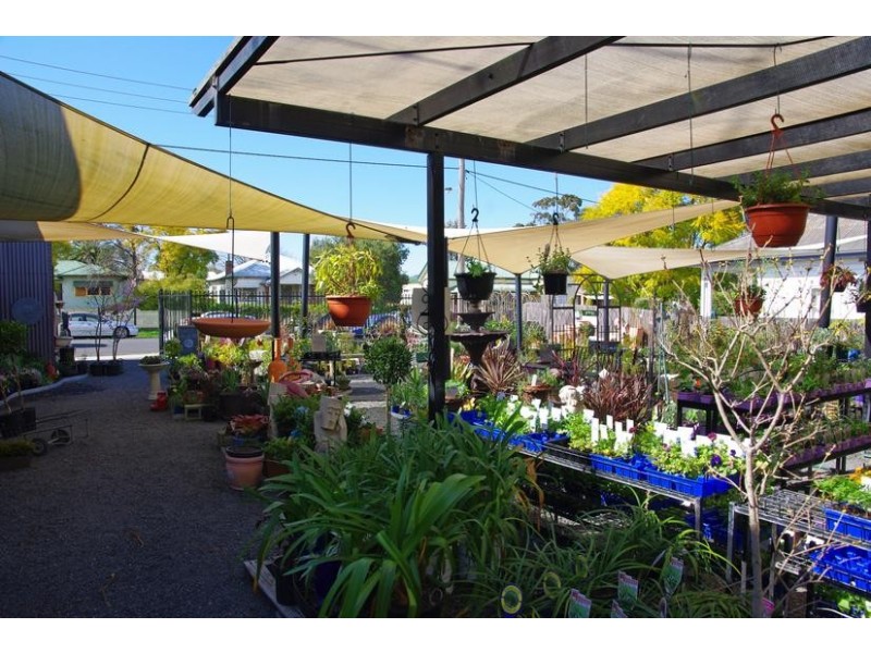 51 Main Street, Scone NSW 2337