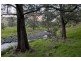 Upper Rouchel Rd, Rouchel NSW 2336