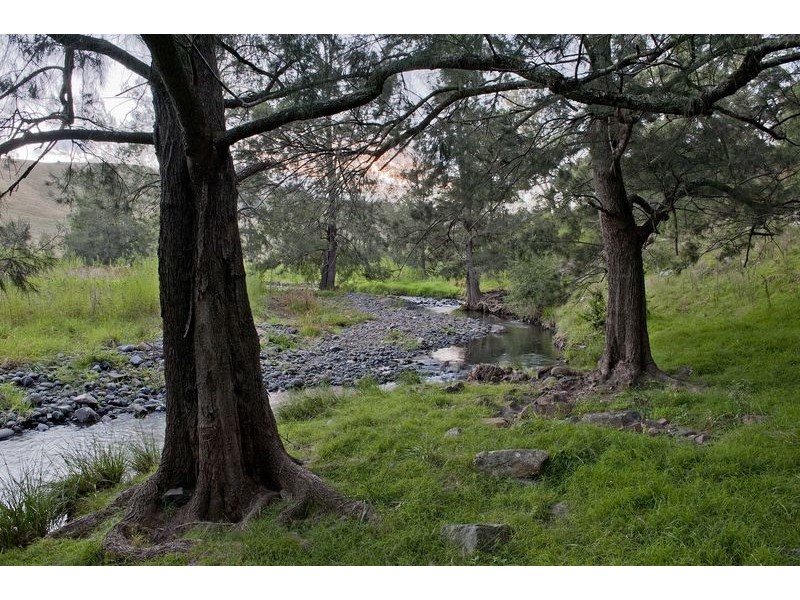 Upper Rouchel Rd, Rouchel NSW 2336
