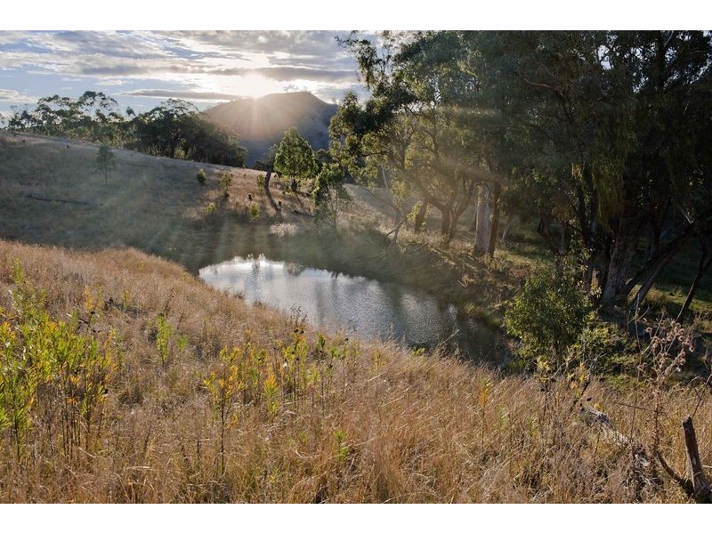 Upper Rouchel Rd, Rouchel NSW 2336