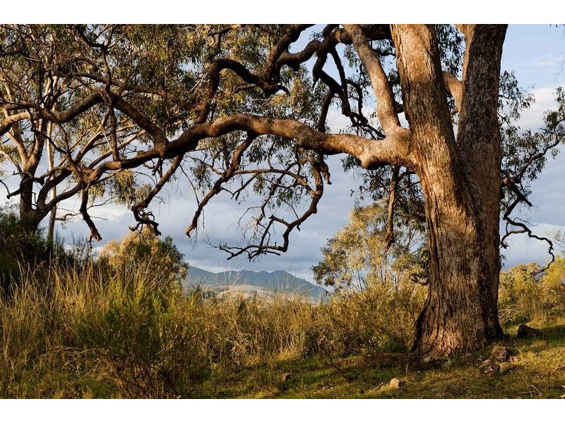 Upper Rouchel Rd, Rouchel NSW 2336
