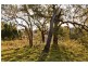 Upper Rouchel Rd, Rouchel NSW 2336