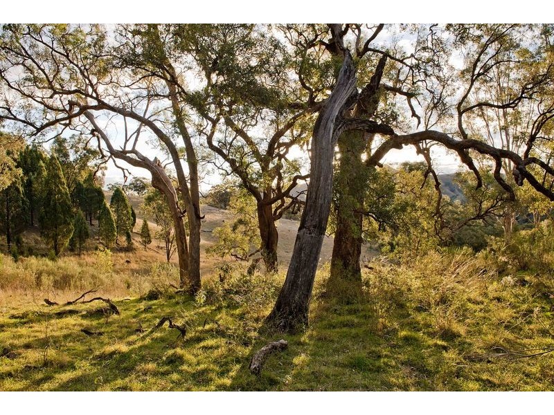 Upper Rouchel Rd, Rouchel NSW 2336