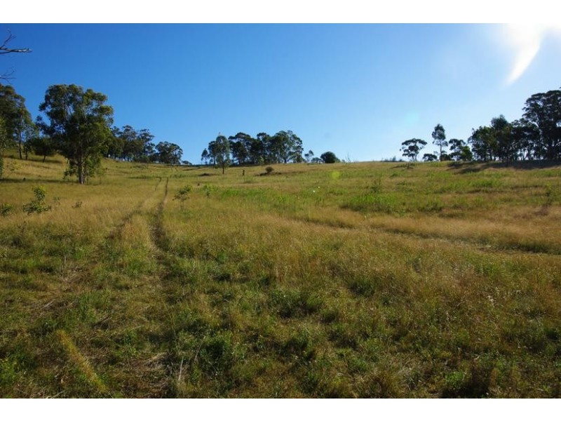 Upper Rouchel Rd, Rouchel NSW 2336