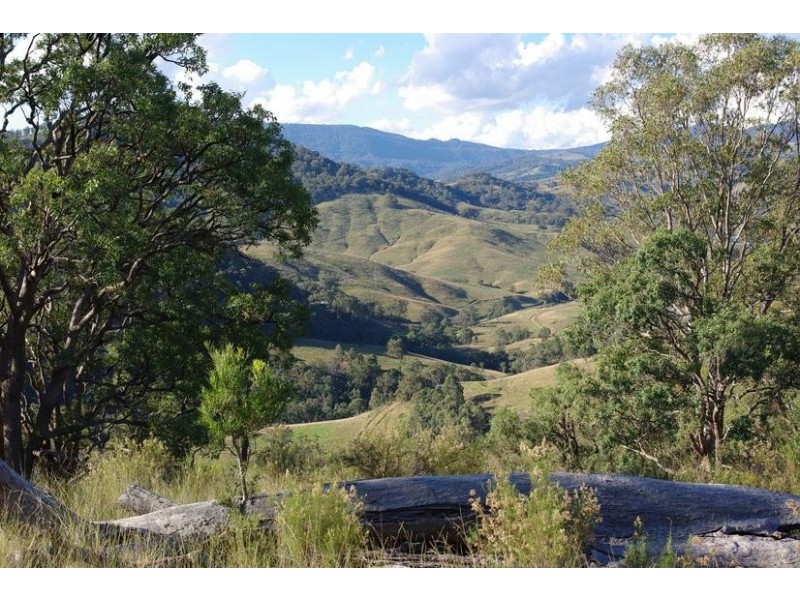 Upper Rouchel Rd, Rouchel NSW 2336