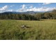 Upper Rouchel Rd, Rouchel NSW 2336