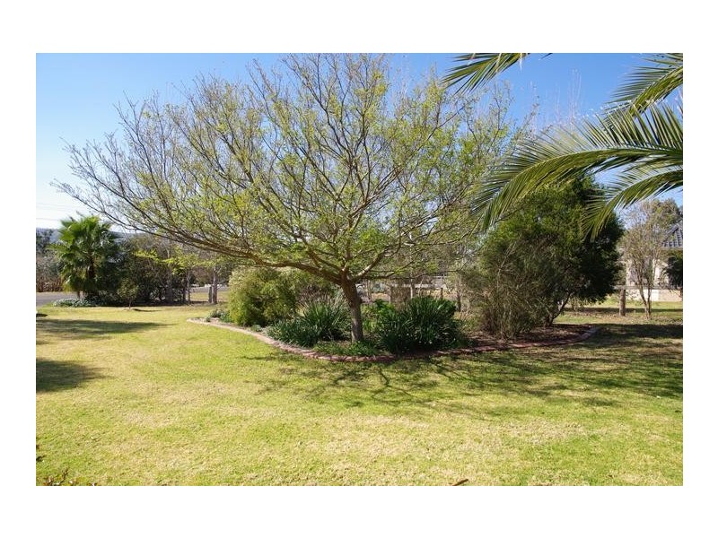 31 Gray Street, Scone NSW 2337