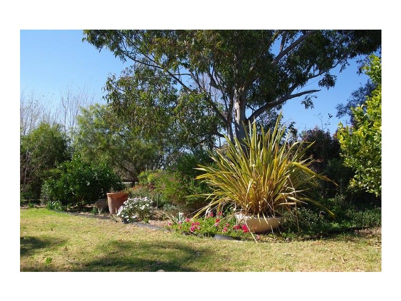 31 Gray Street, Scone NSW 2337