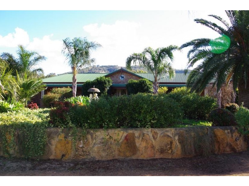 78 Mount Moobi Road, Scone NSW 2337
