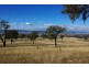 78 Mount Moobi Road, Scone NSW 2337