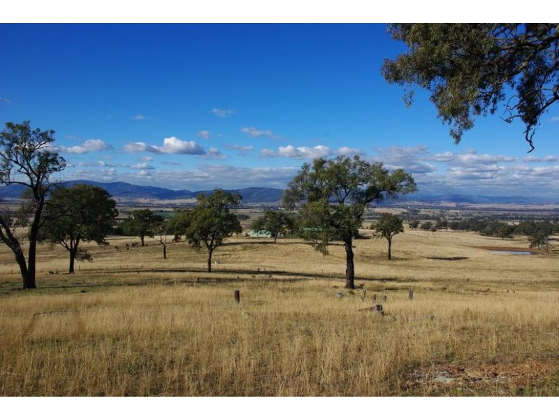 78 Mount Moobi Road, Scone NSW 2337