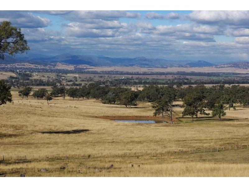 78 Mount Moobi Road, Scone NSW 2337
