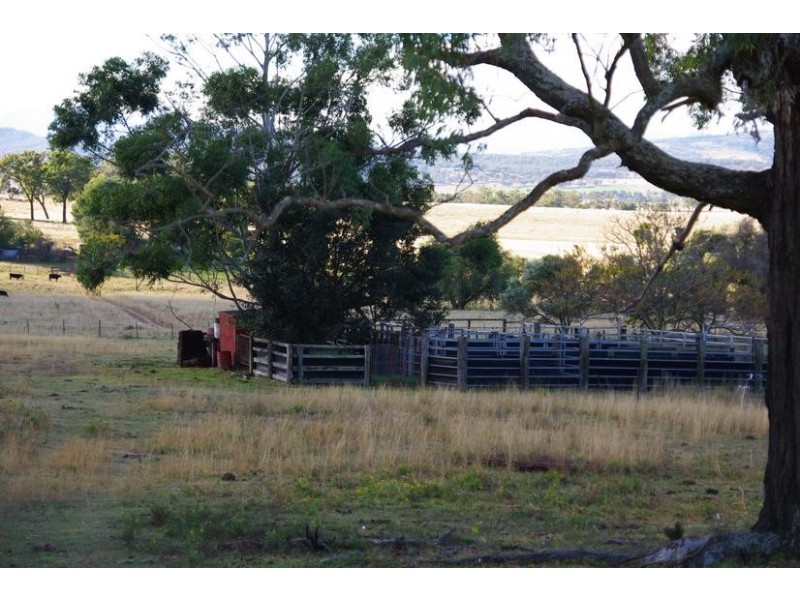 78 Mount Moobi Road, Scone NSW 2337