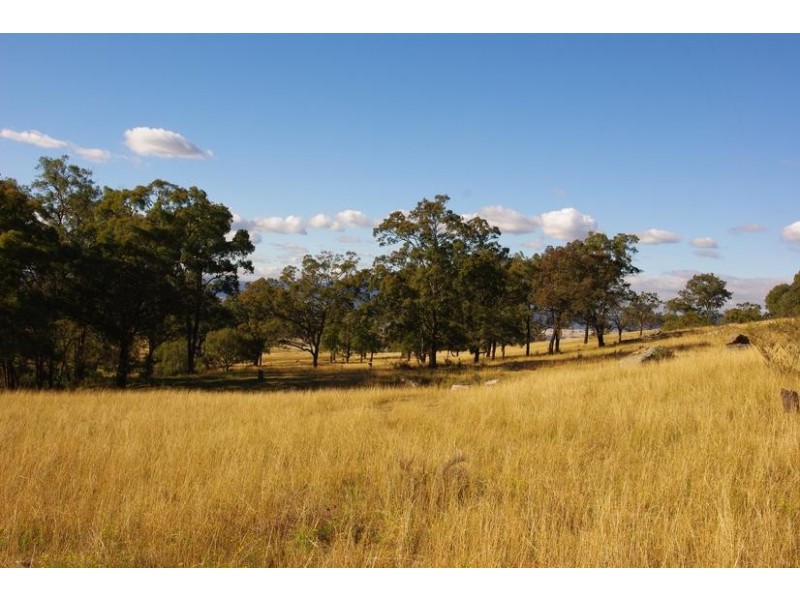 78 Mount Moobi Road, Scone NSW 2337