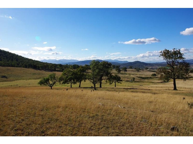 78 Mount Moobi Road, Scone NSW 2337