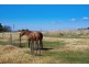 12 Tullong Road, Scone NSW 2337