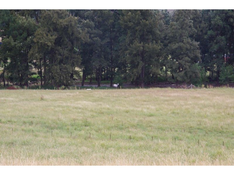 Temple Court, Haydon St, Murrurundi NSW 2338