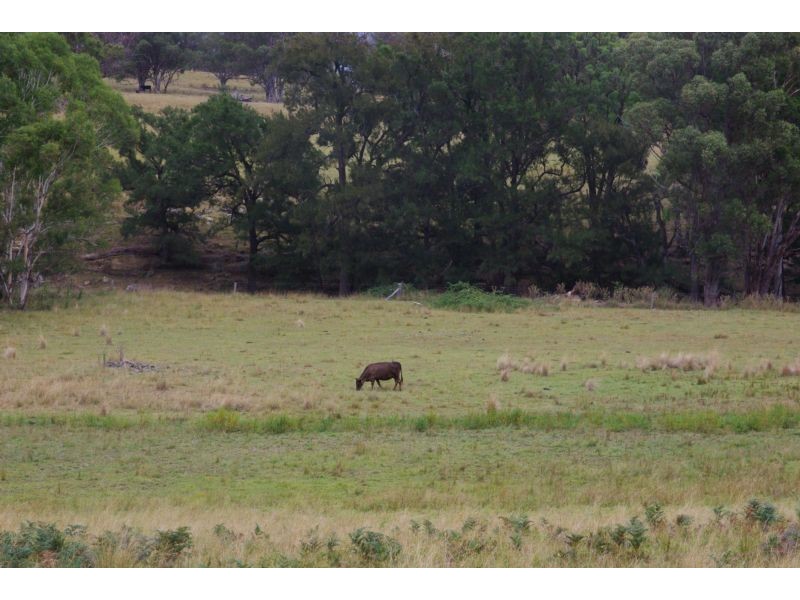 Temple Court, Haydon St, Murrurundi NSW 2338