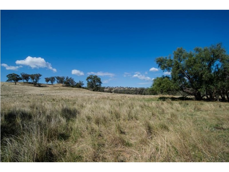 Willawarra, 91 Chilcotts Creek Rd, Willow Tree NSW 2339