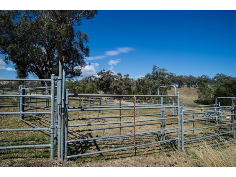 Willawarra, 91 Chilcotts Creek Rd, Willow Tree NSW 2339