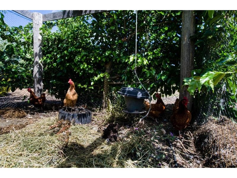 Lot 1, 8 Allan Cunningham Road, Scone NSW 2337