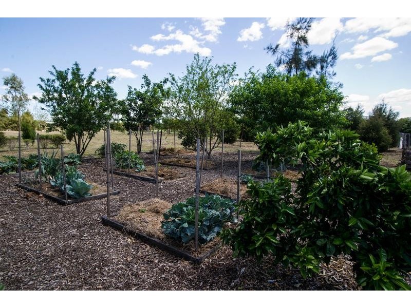 Lot 1, 8 Allan Cunningham Road, Scone NSW 2337