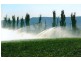 Riverview 193 Rouchel Rd,, Aberdeen NSW 2336
