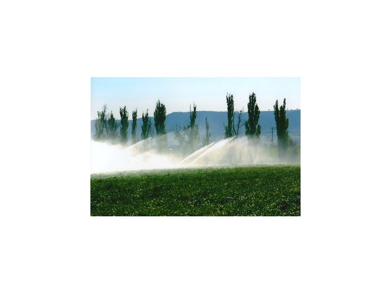 Riverview 193 Rouchel Rd,, Aberdeen NSW 2336