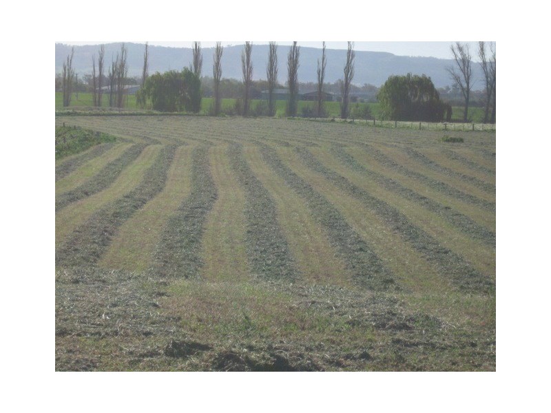 Riverview 193 Rouchel Rd,, Aberdeen NSW 2336