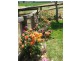 Riverview 193 Rouchel Rd,, Aberdeen NSW 2336