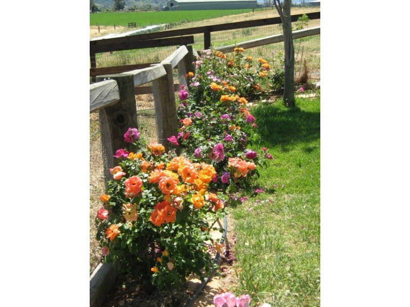 Riverview 193 Rouchel Rd,, Aberdeen NSW 2336