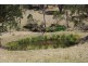 Montana, Tomalla Rd, Ellerston NSW 2337