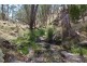 Montana, Tomalla Rd, Ellerston NSW 2337